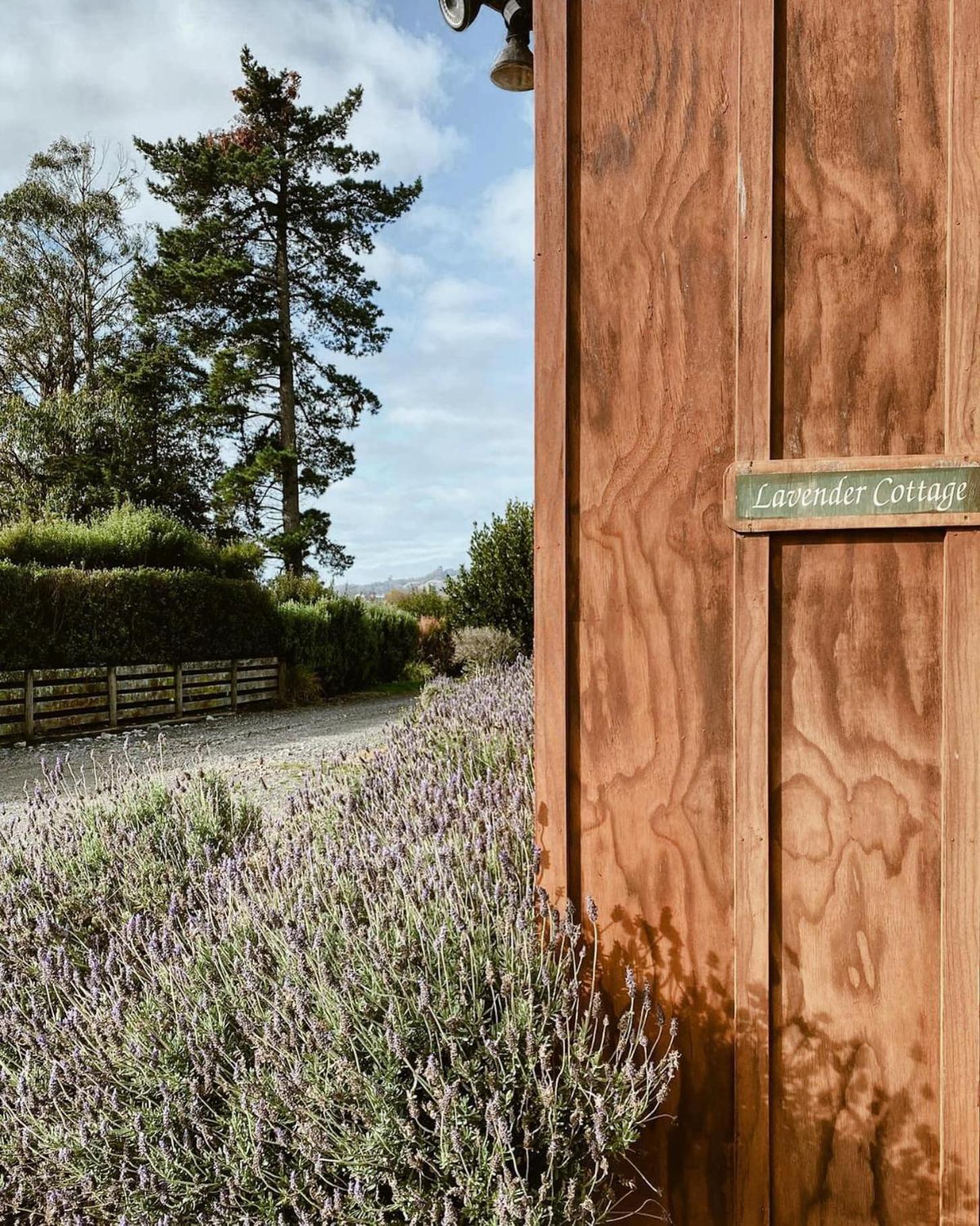 Havelock North Holiday Park Esterno foto